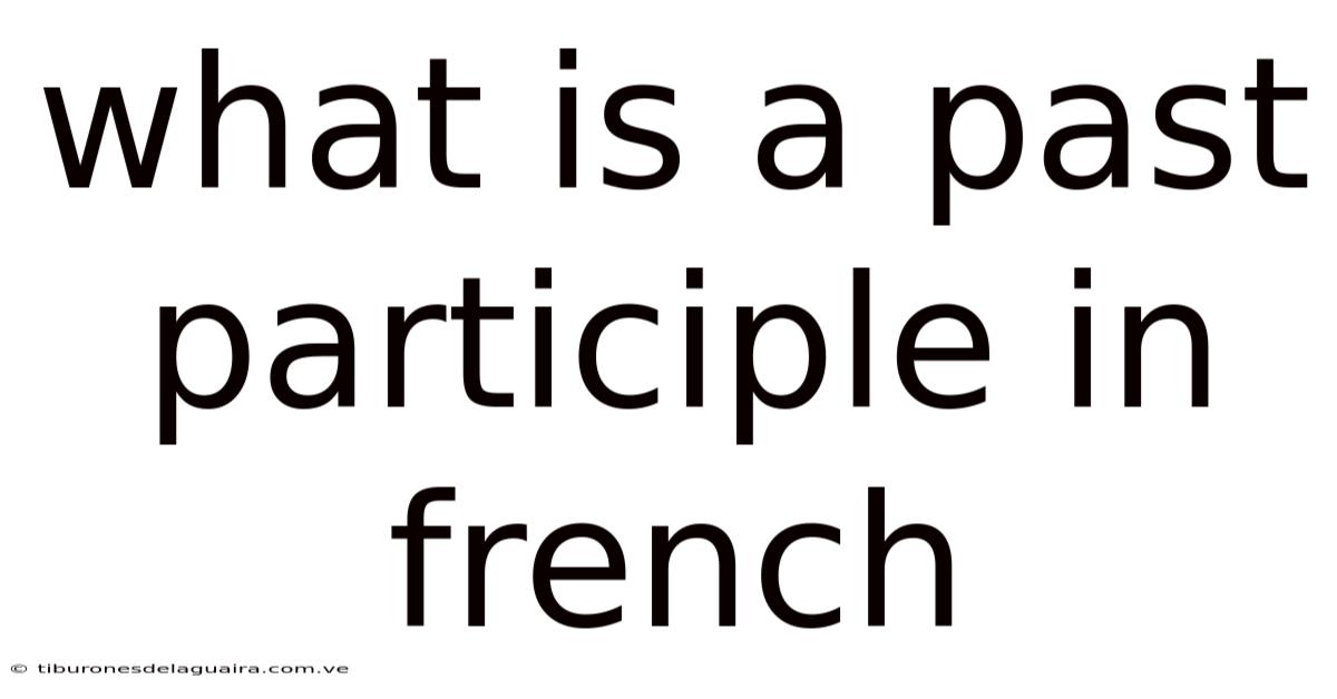 What Is A Past Participle In French