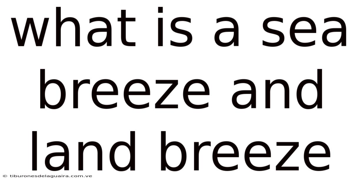 What Is A Sea Breeze And Land Breeze