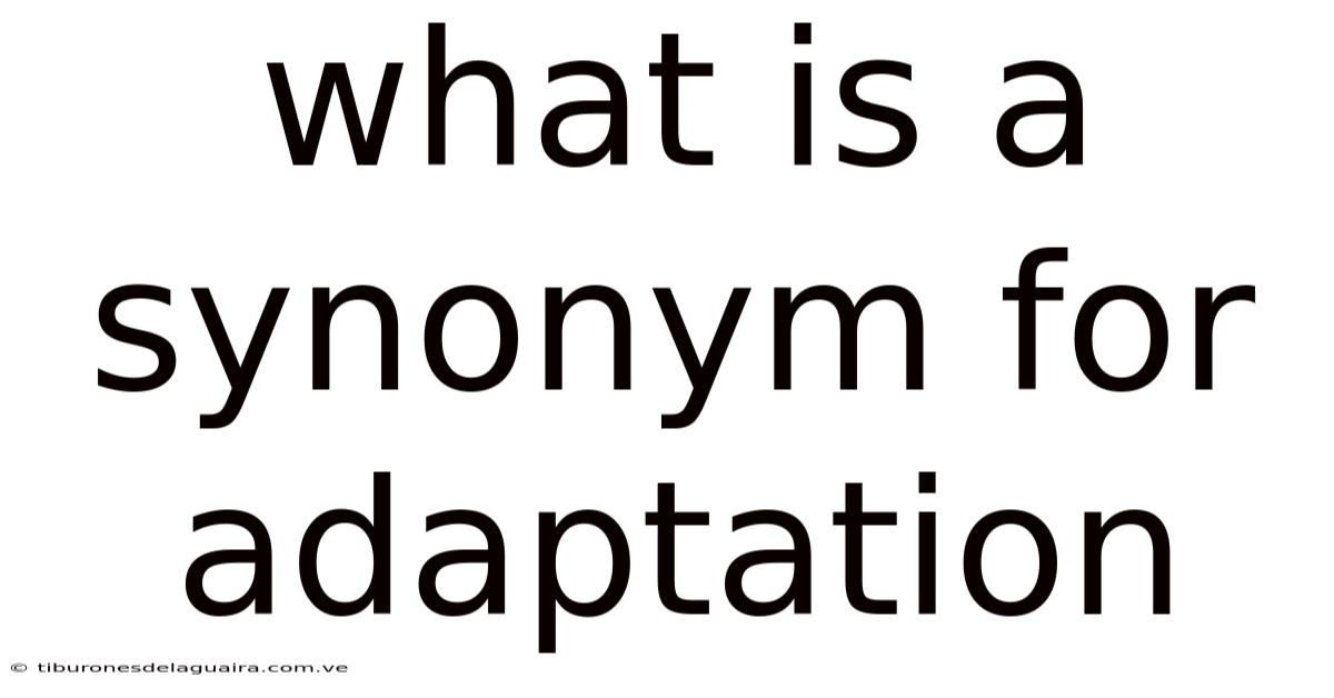 What Is A Synonym For Adaptation