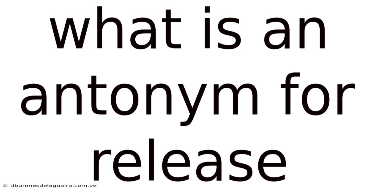 What Is An Antonym For Release