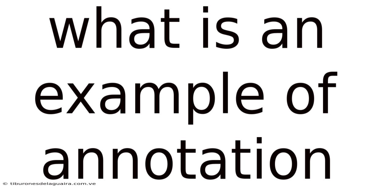 What Is An Example Of Annotation