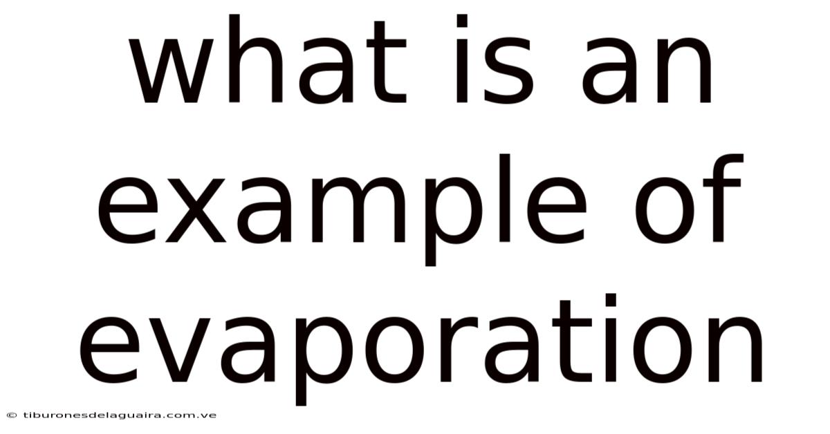 What Is An Example Of Evaporation
