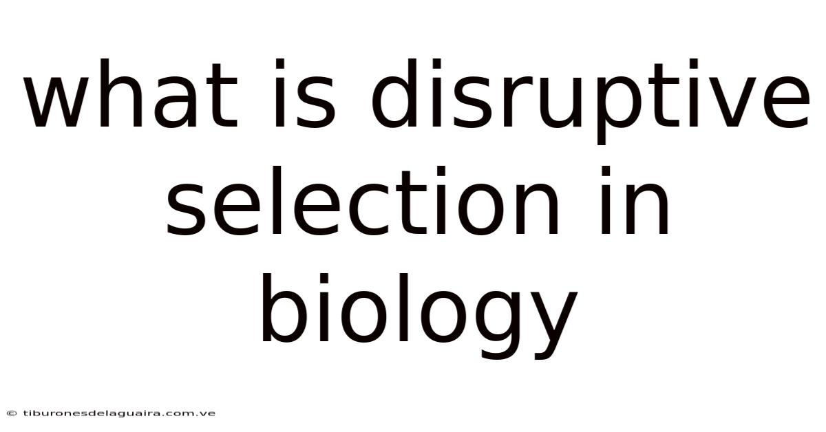 What Is Disruptive Selection In Biology