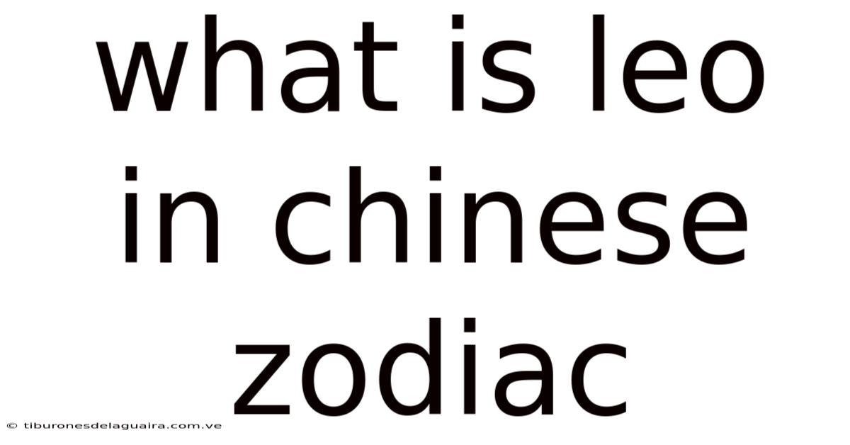 What Is Leo In Chinese Zodiac