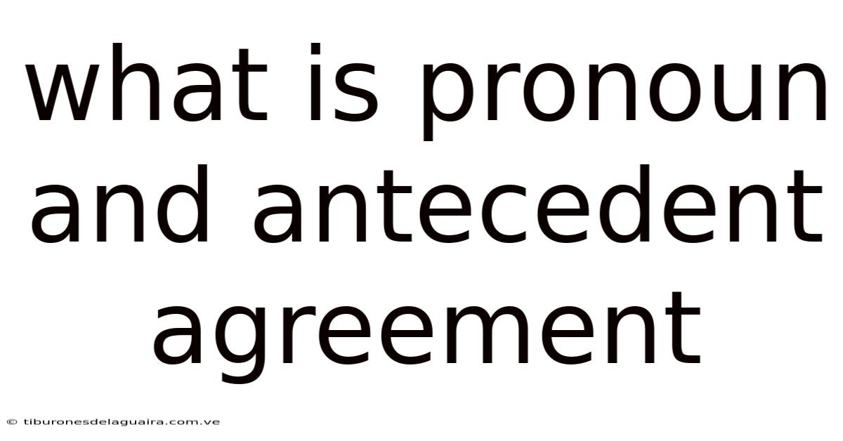 What Is Pronoun And Antecedent Agreement