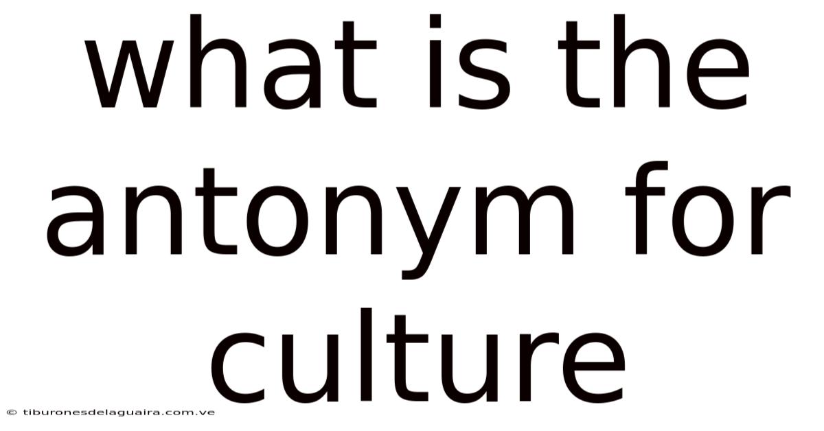 What Is The Antonym For Culture