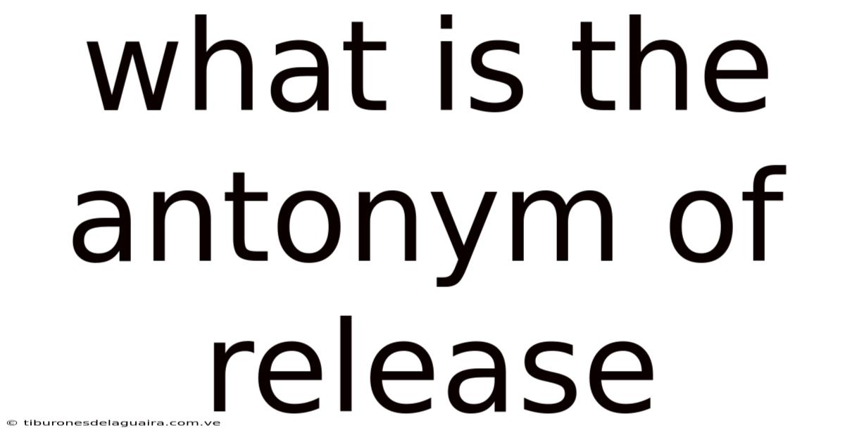 What Is The Antonym Of Release
