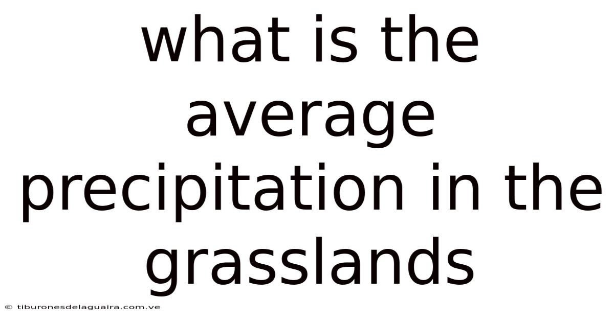What Is The Average Precipitation In The Grasslands