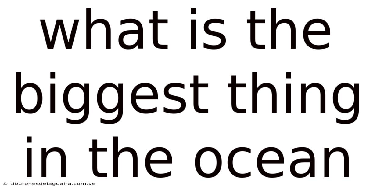What Is The Biggest Thing In The Ocean