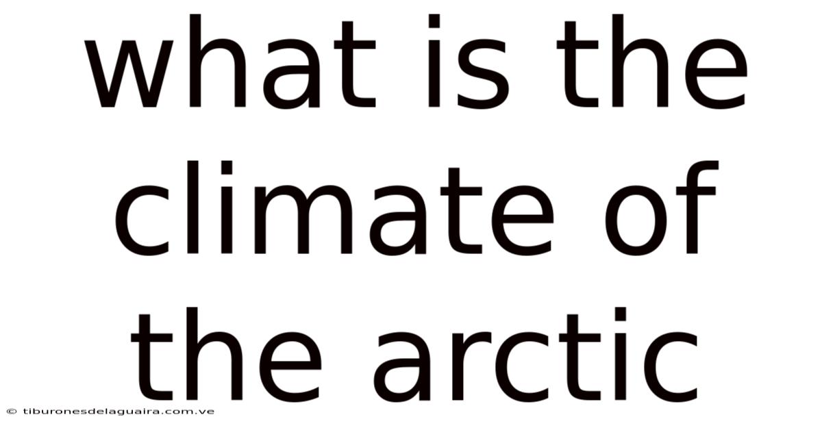 What Is The Climate Of The Arctic