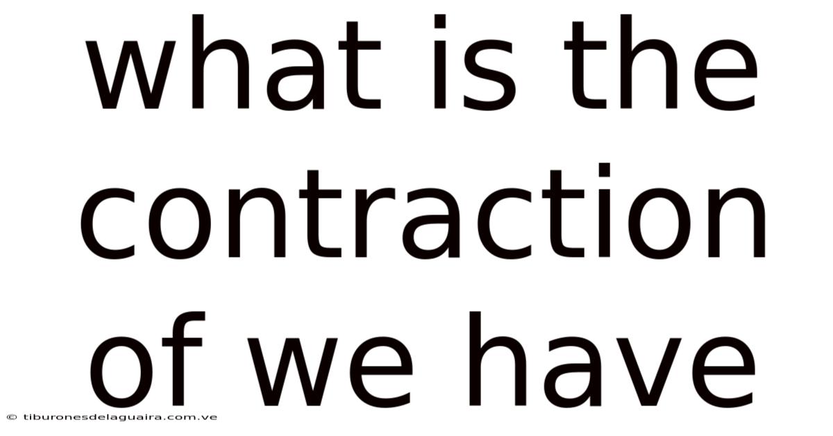 What Is The Contraction Of We Have