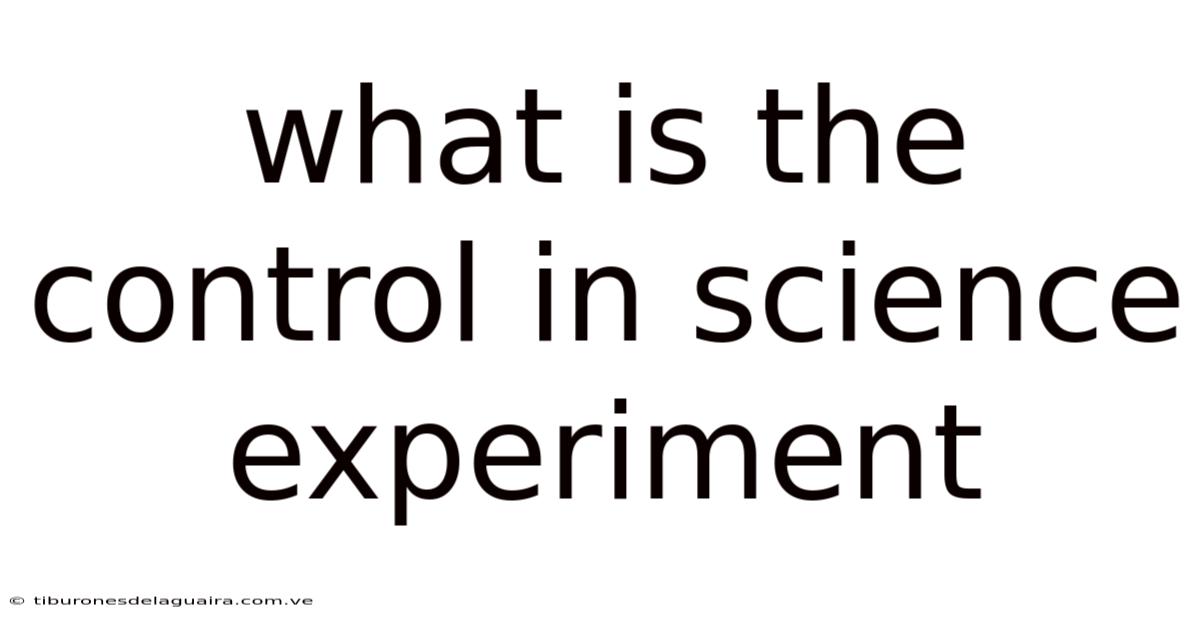 What Is The Control In Science Experiment