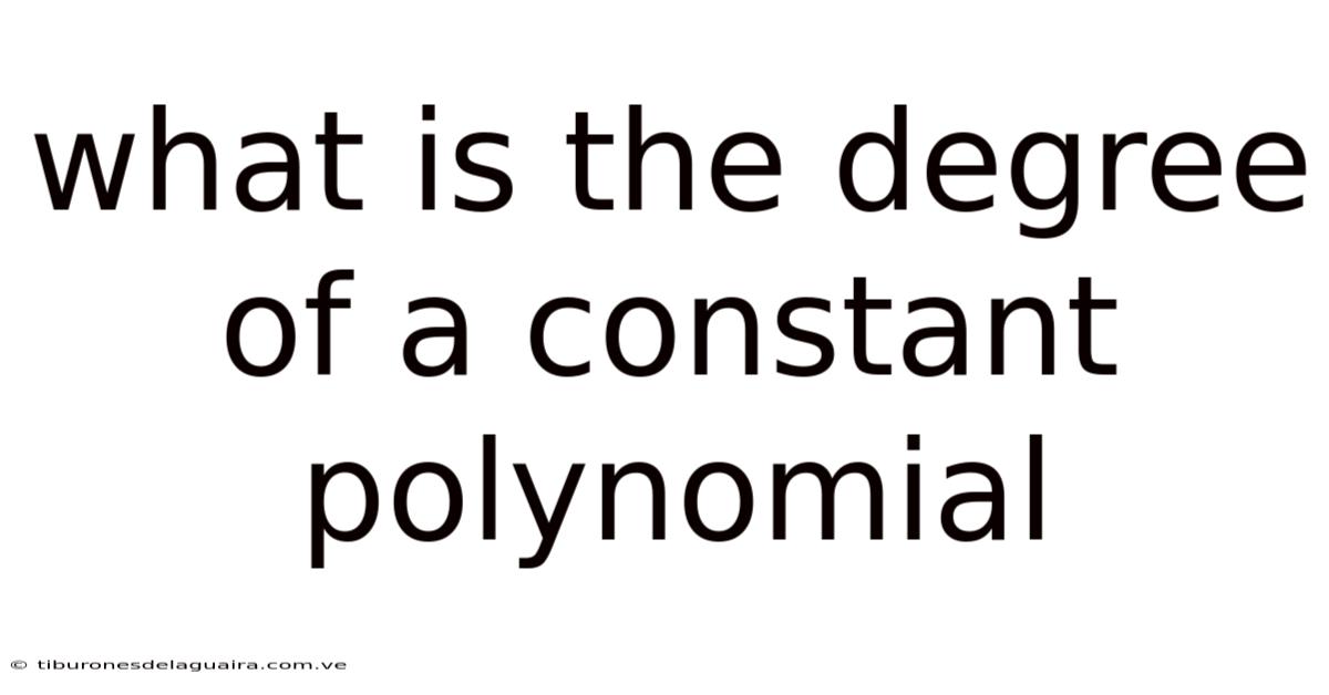 What Is The Degree Of A Constant Polynomial