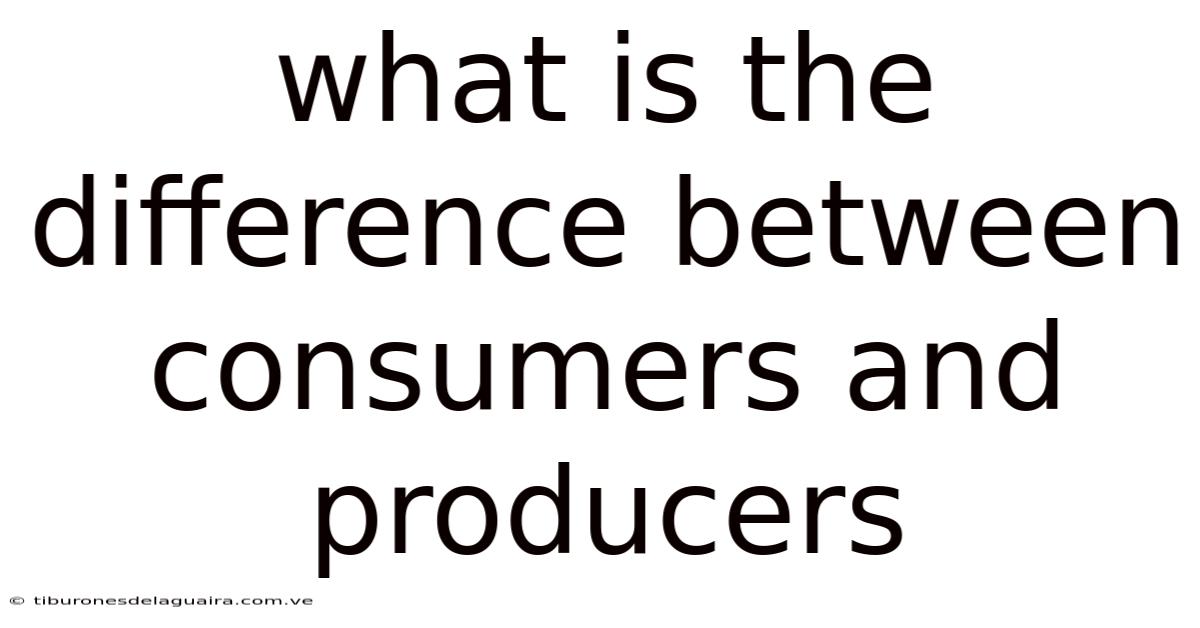 What Is The Difference Between Consumers And Producers