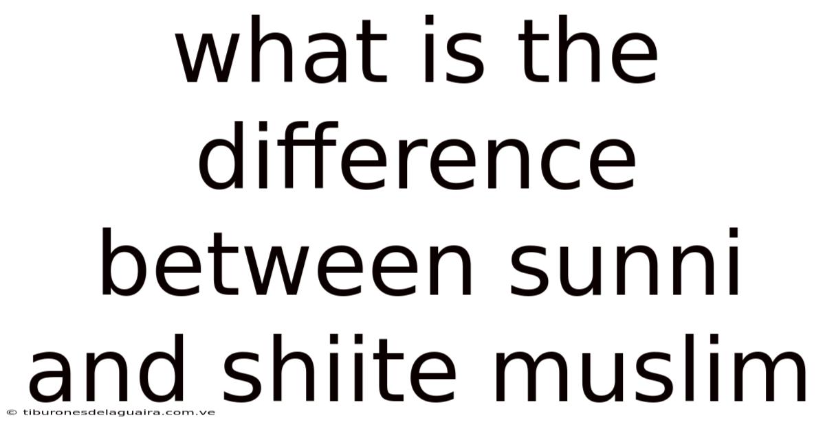 What Is The Difference Between Sunni And Shiite Muslim