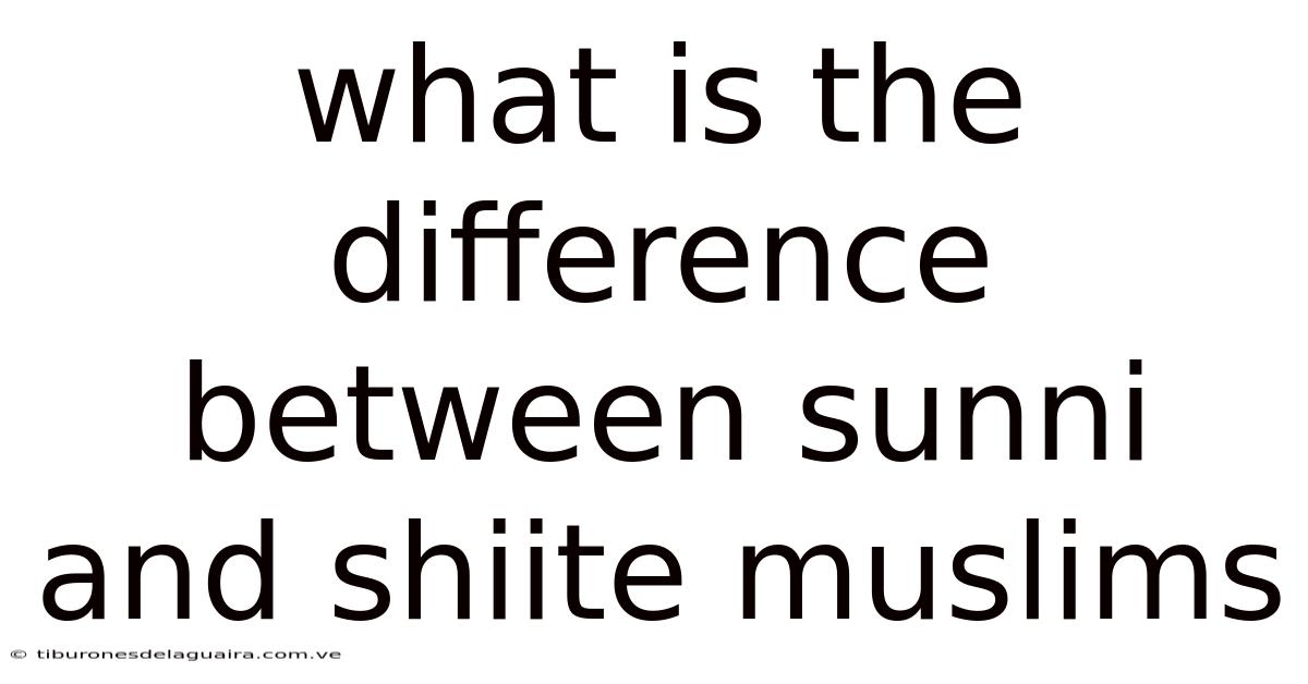 What Is The Difference Between Sunni And Shiite Muslims
