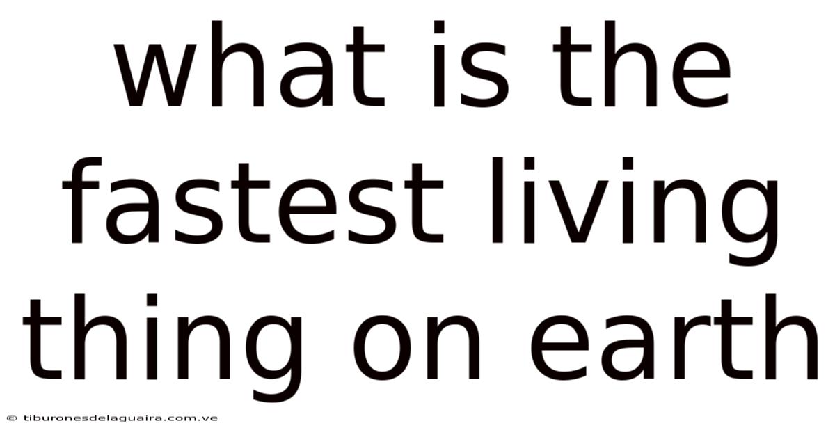 What Is The Fastest Living Thing On Earth