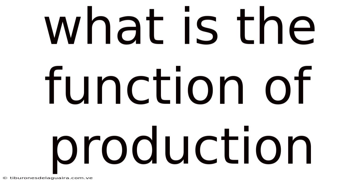 What Is The Function Of Production