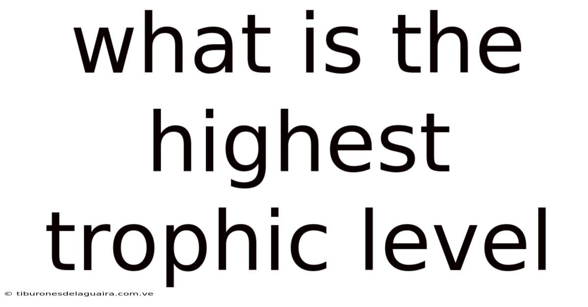 What Is The Highest Trophic Level