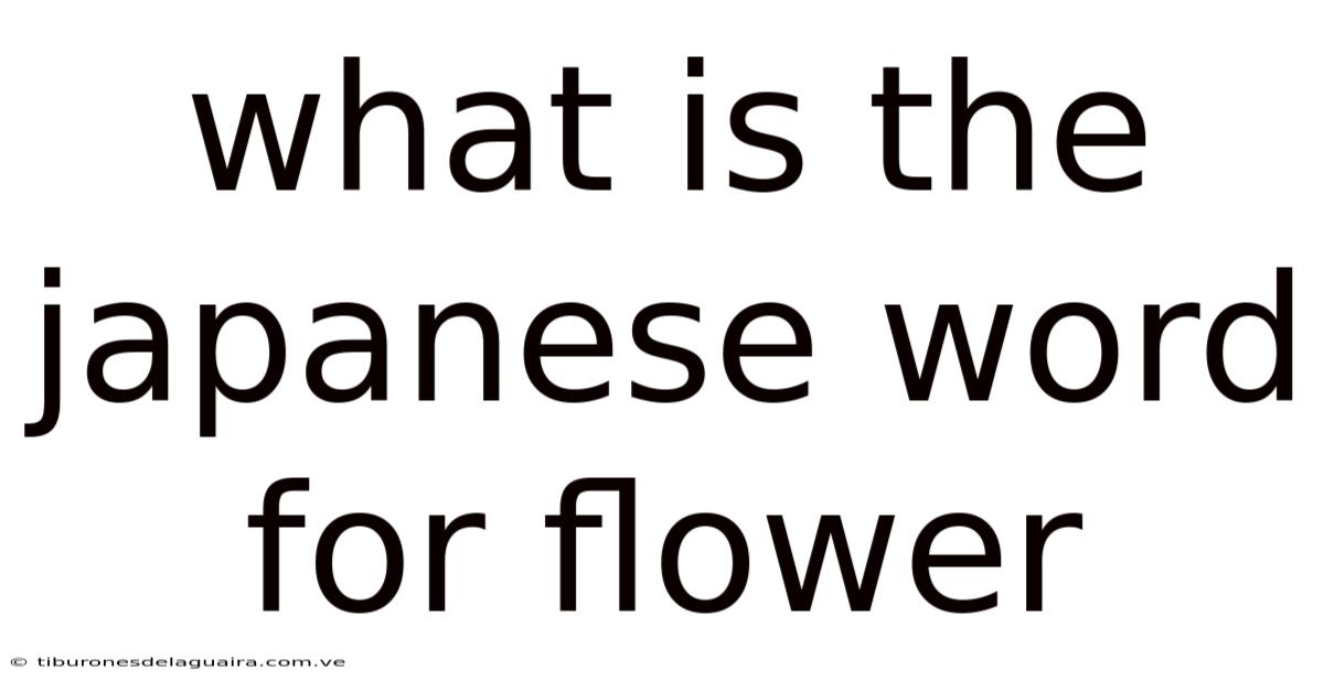 What Is The Japanese Word For Flower