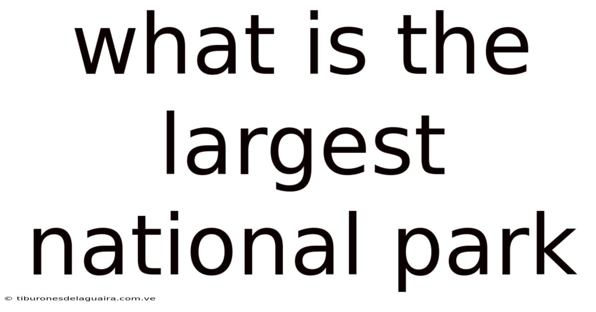 What Is The Largest National Park