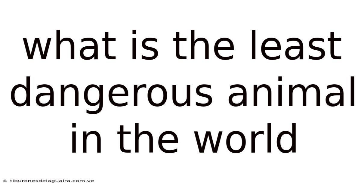 What Is The Least Dangerous Animal In The World