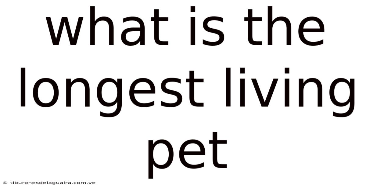 What Is The Longest Living Pet