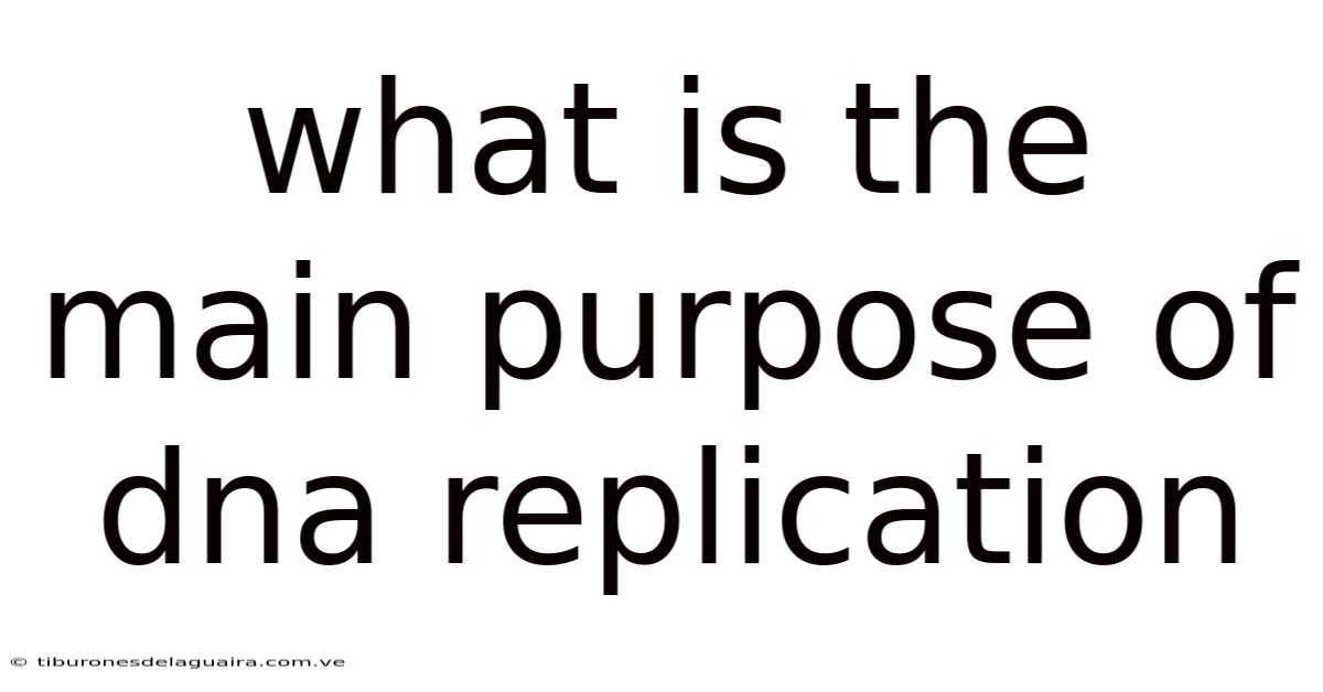 What Is The Main Purpose Of Dna Replication
