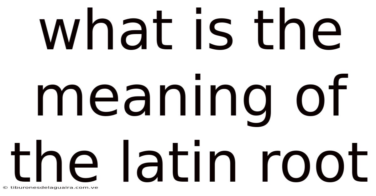 What Is The Meaning Of The Latin Root