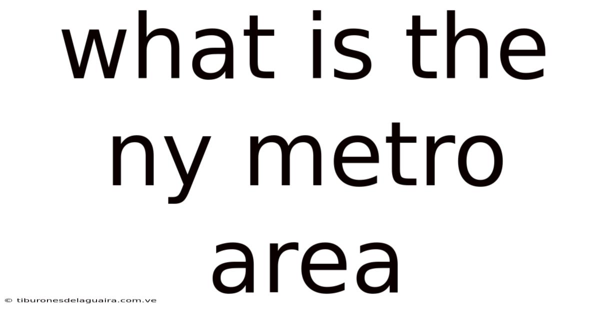 What Is The Ny Metro Area
