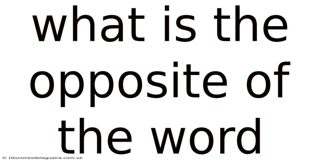 What Is The Opposite Of The Word