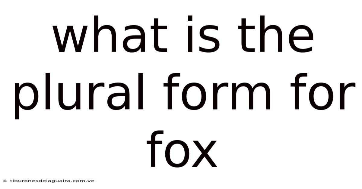 What Is The Plural Form For Fox