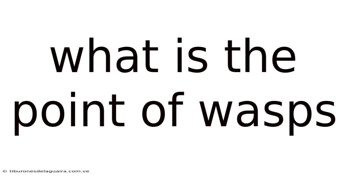 What Is The Point Of Wasps