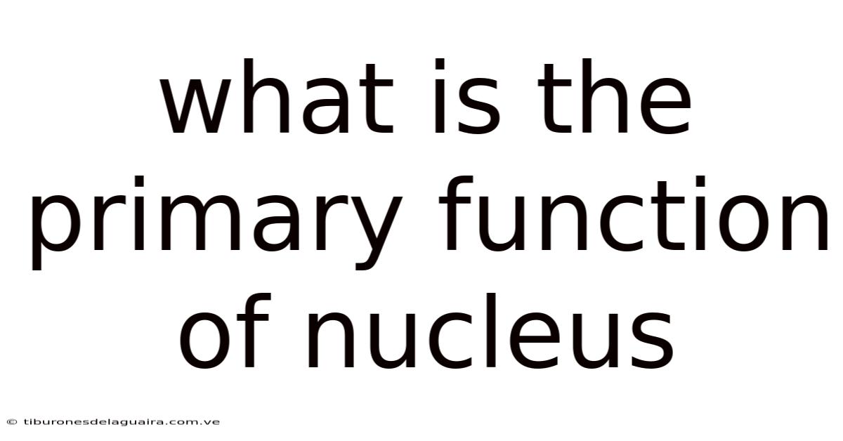 What Is The Primary Function Of Nucleus