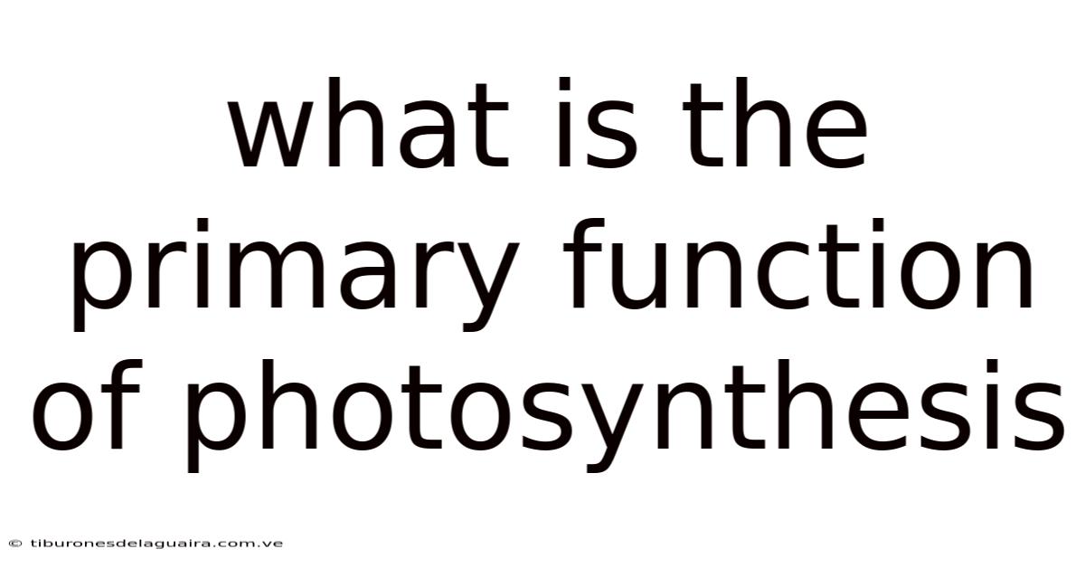 What Is The Primary Function Of Photosynthesis