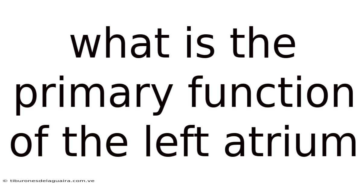 What Is The Primary Function Of The Left Atrium