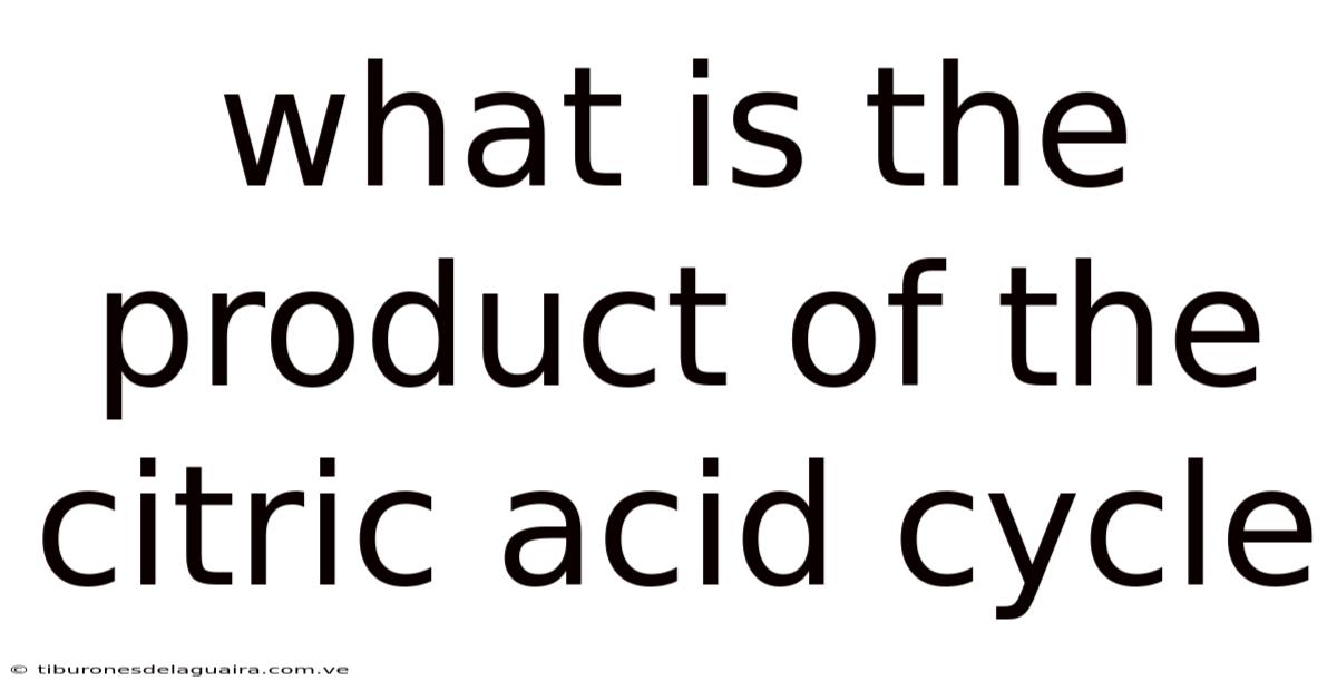 What Is The Product Of The Citric Acid Cycle