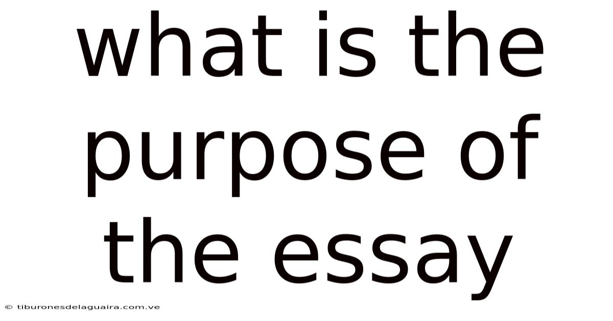 What Is The Purpose Of The Essay