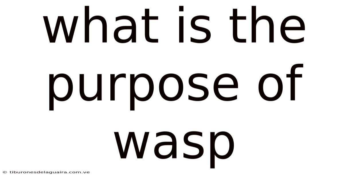 What Is The Purpose Of Wasp