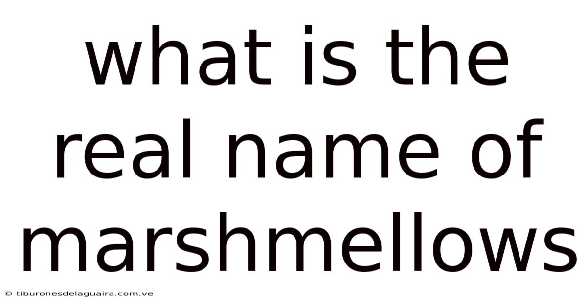 What Is The Real Name Of Marshmellows