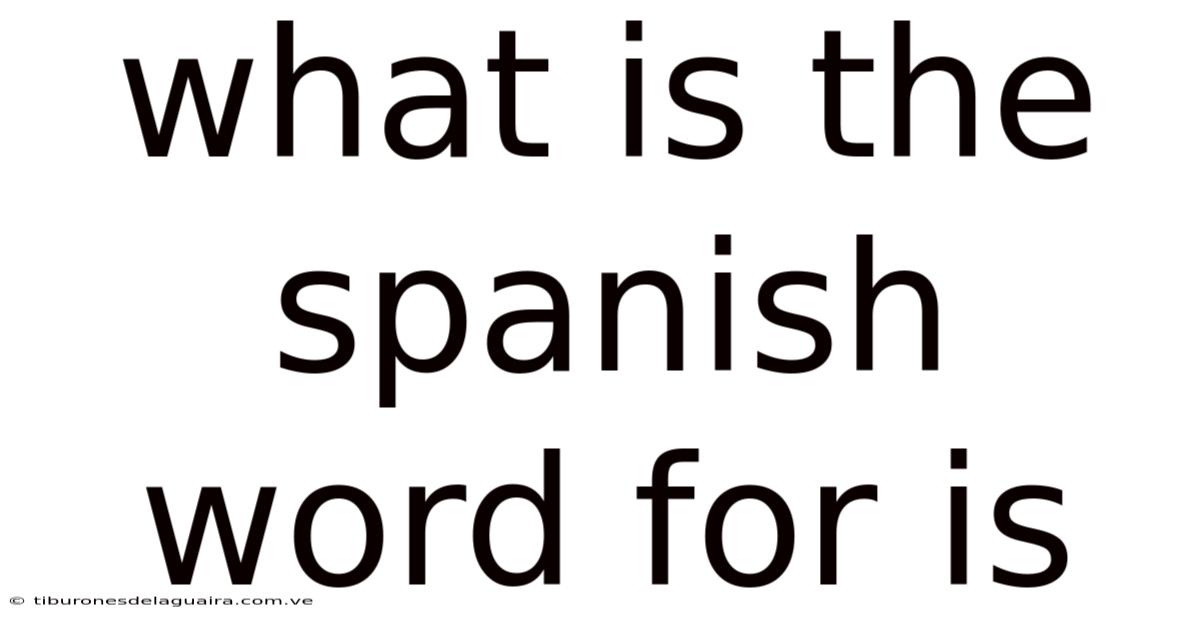 What Is The Spanish Word For Is