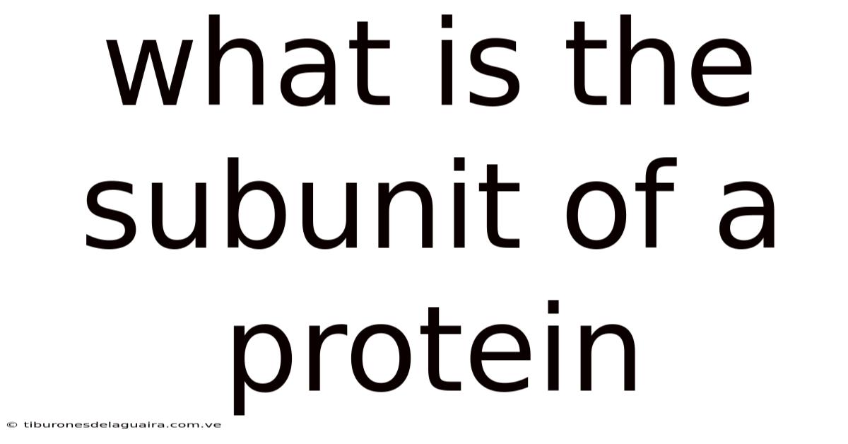 What Is The Subunit Of A Protein