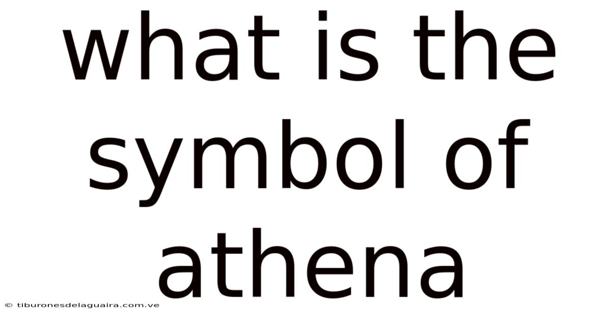 What Is The Symbol Of Athena