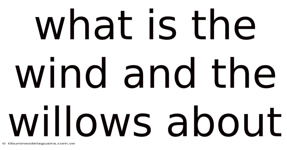 What Is The Wind And The Willows About