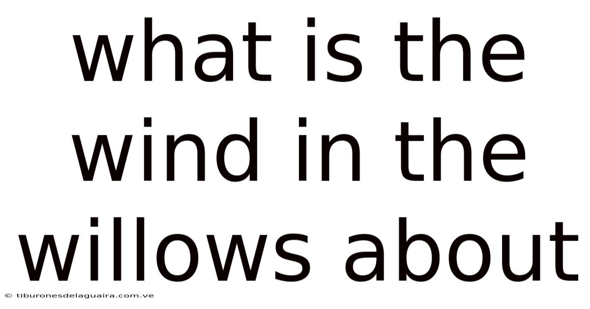 What Is The Wind In The Willows About