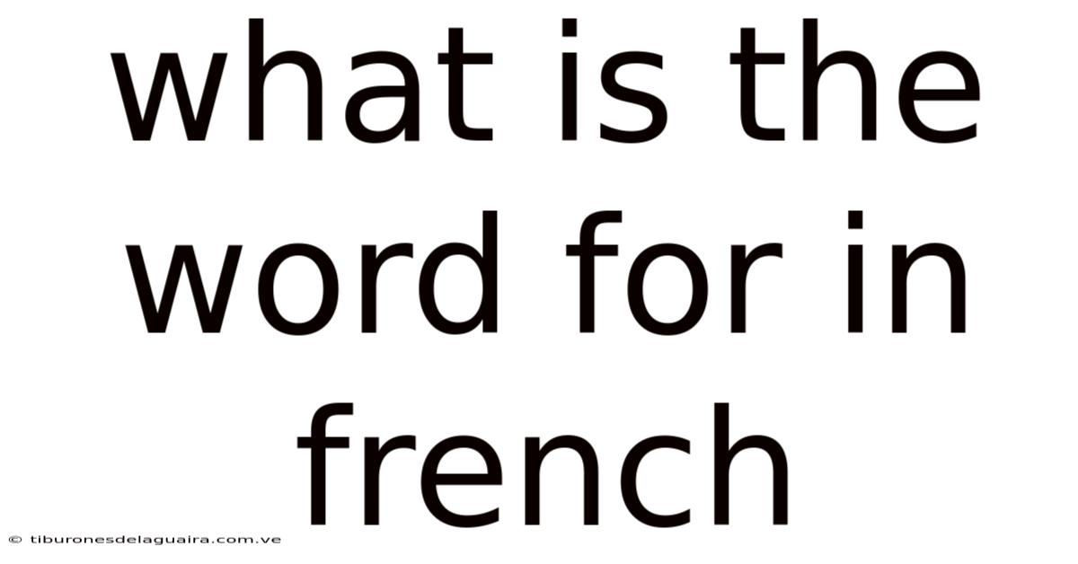 What Is The Word For In French