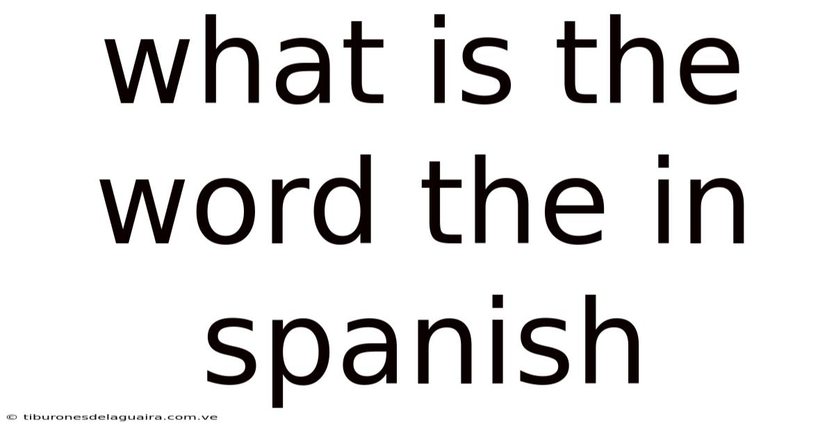 What Is The Word The In Spanish