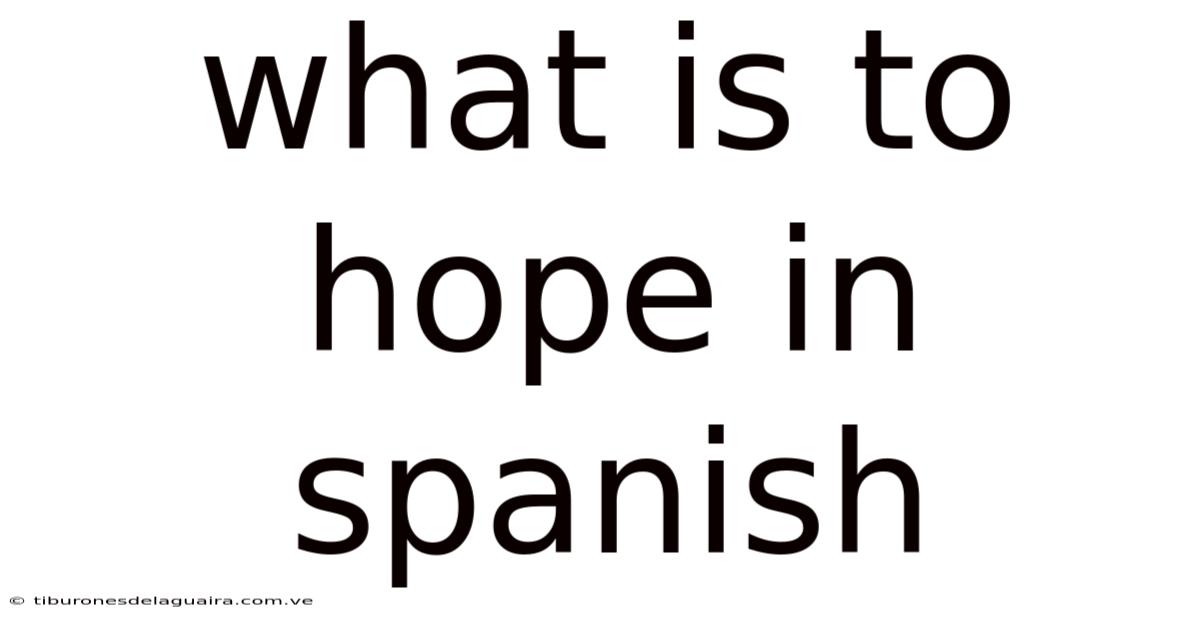 What Is To Hope In Spanish