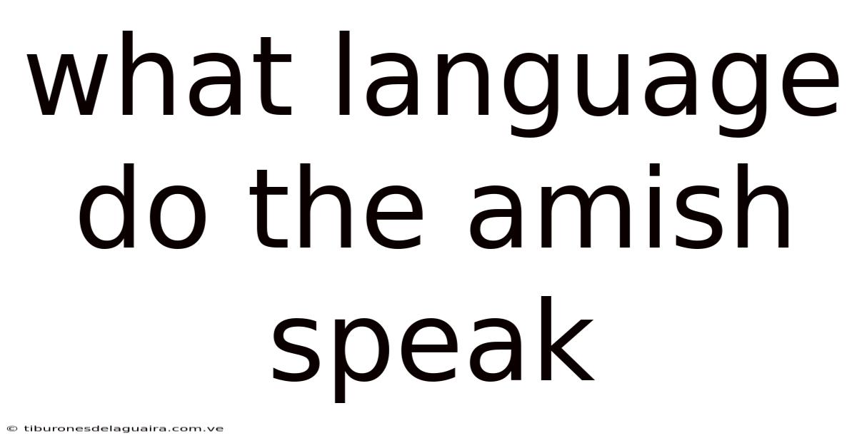 What Language Do The Amish Speak