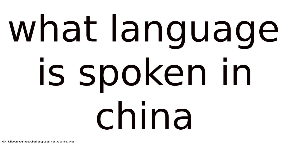 What Language Is Spoken In China